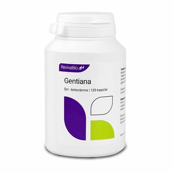 Gentiana-1016-600x600
