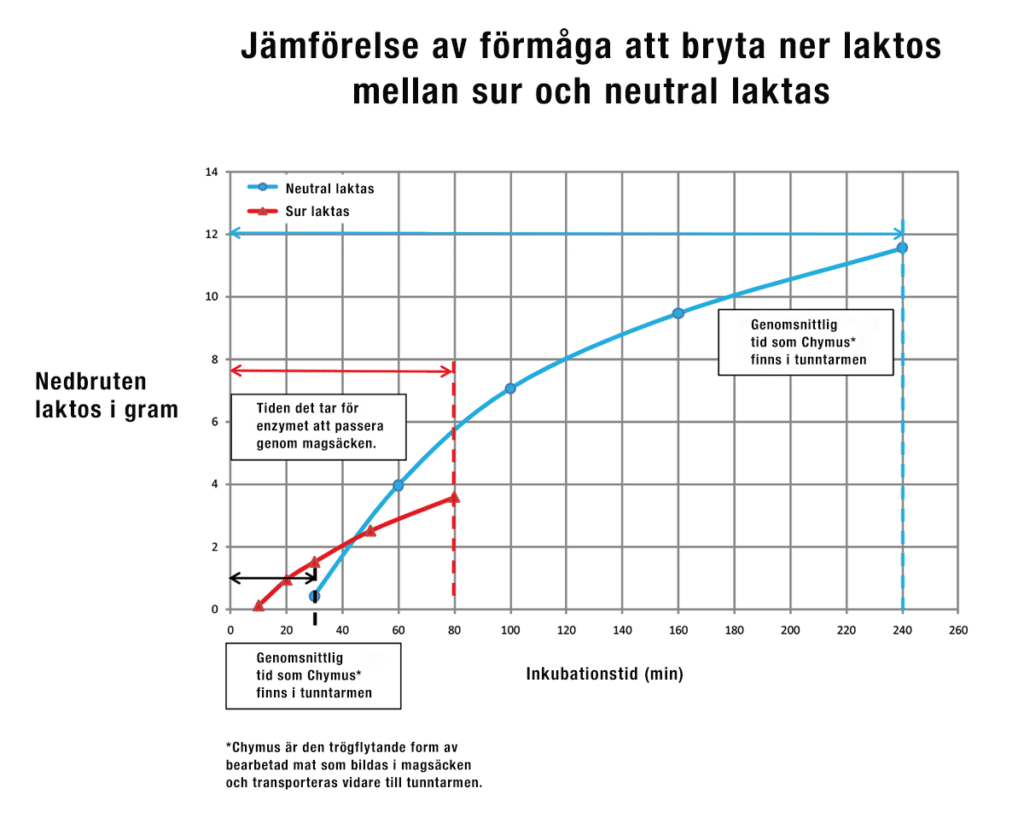 Nedbrytningsförmåga sur & neutral laktos